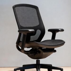 Ergonomic Office Chair